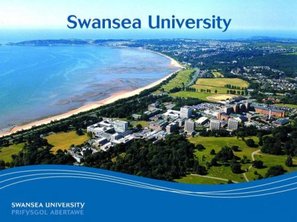 Swansea University ELTS